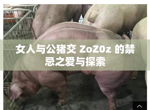 女人与公猪交 ZoZ0z 的禁忌之爱与探索