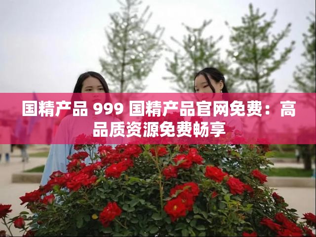 国精产品 999 国精产品官网免费：高品质资源免费畅享