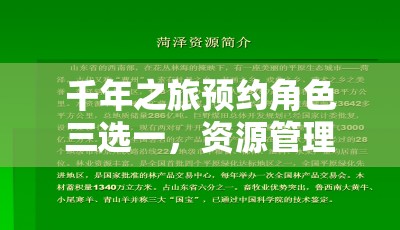 千年之旅预约角色三选一，资源管理视角下的重要性及高效选择策略