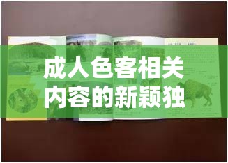 成人色客相关内容的新颖独特：成人色客之独特魅力与精彩呈现