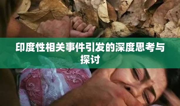 印度性相关事件引发的深度思考与探讨