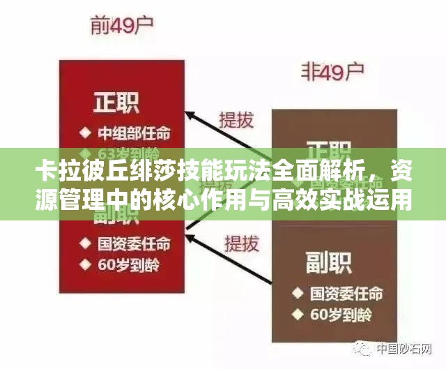 卡拉彼丘绯莎技能玩法全面解析，资源管理中的核心作用与高效实战运用策略