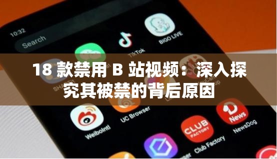 18 款禁用 B 站视频：深入探究其被禁的背后原因