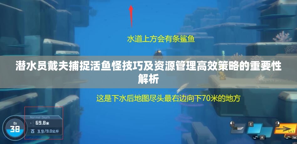 潜水员戴夫捕捉活鱼怪技巧及资源管理高效策略的重要性解析