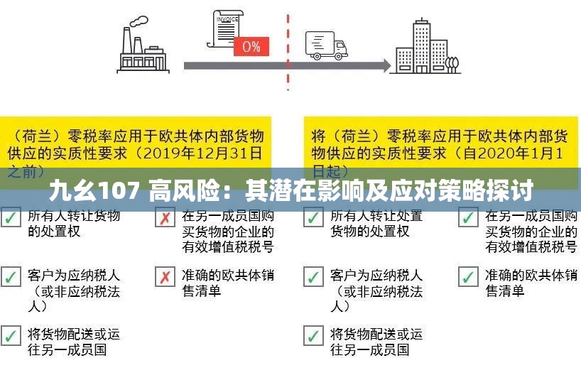 九幺107 高风险：其潜在影响及应对策略探讨