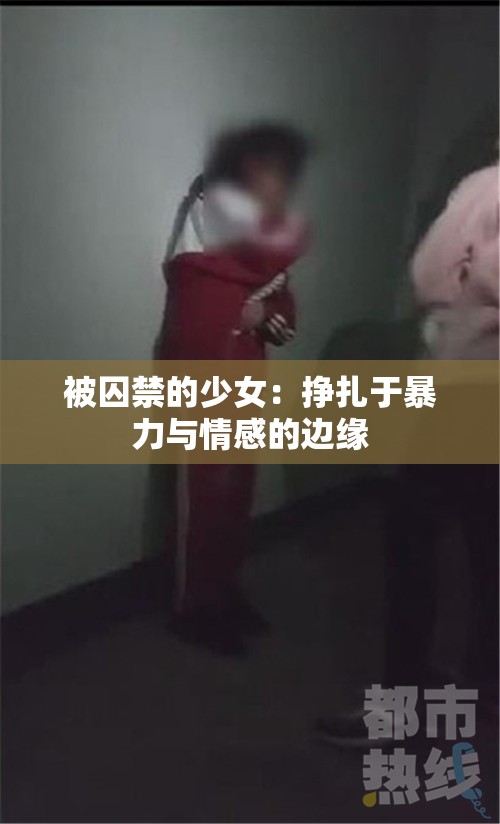 被囚禁的少女：挣扎于暴力与情感的边缘