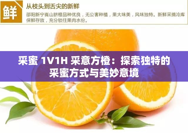 采蜜 1V1H 采意方橙：探索独特的采蜜方式与美妙意境