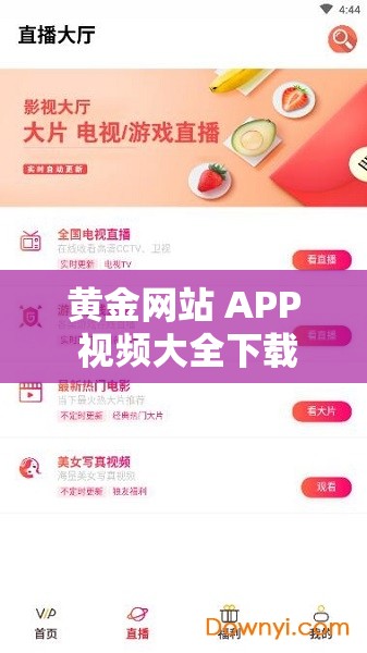 黄金网站 APP 视频大全下载：畅享海量精彩资源