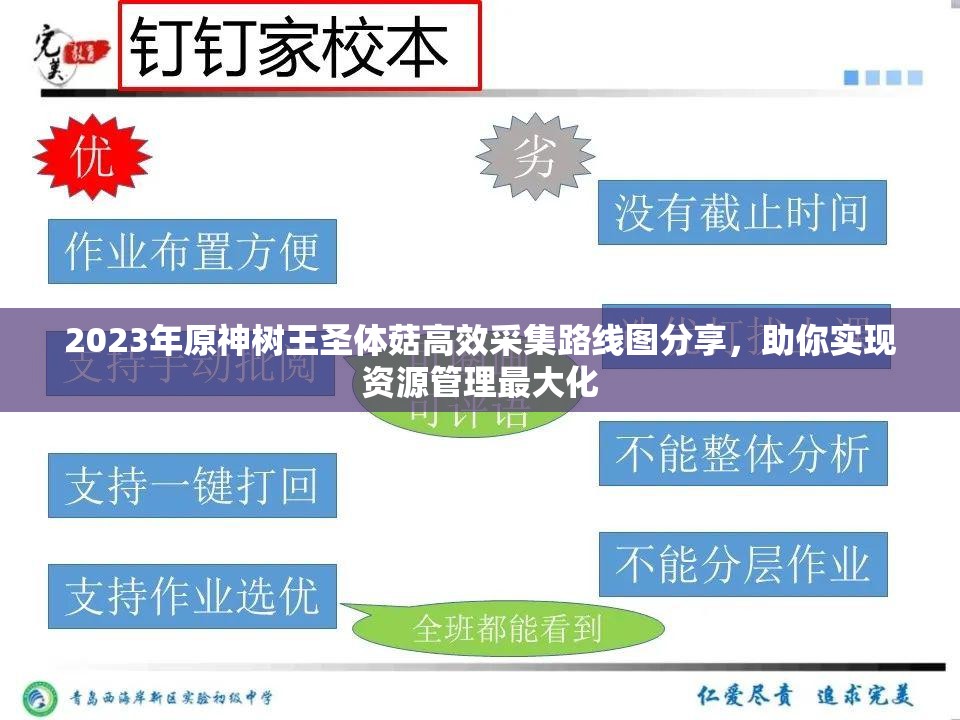 2023年原神树王圣体菇高效采集路线图分享，助你实现资源管理最大化