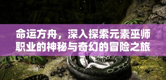 命运方舟，深入探索元素巫师职业的神秘与奇幻的冒险之旅