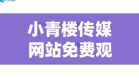 小青楼传媒网站免费观看：但需注意其合法性和安全性问题