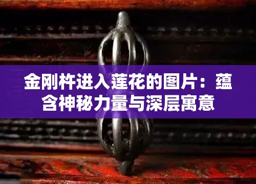 金刚杵进入莲花的图片：蕴含神秘力量与深层寓意