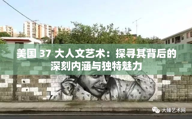 美国 37 大人文艺术：探寻其背后的深刻内涵与独特魅力