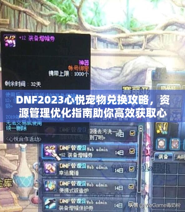 DNF2023心悦宠物兑换攻略，资源管理优化指南助你高效获取心仪宠物