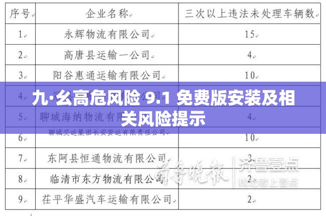 九·幺高危风险 9.1 免费版安装及相关风险提示