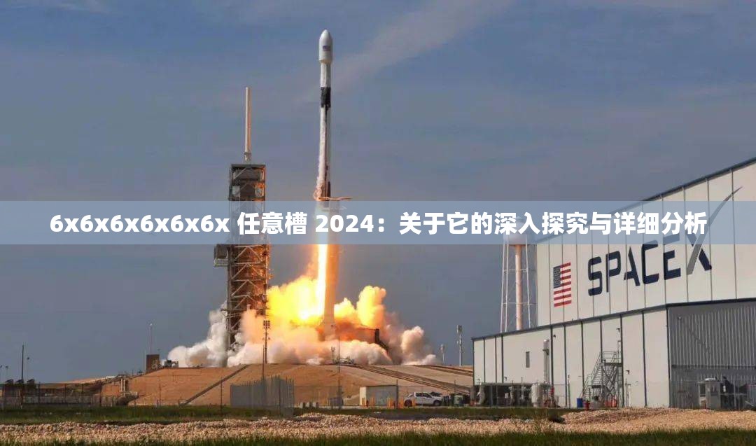 6x6x6x6x6x6x 任意槽 2024：关于它的深入探究与详细分析