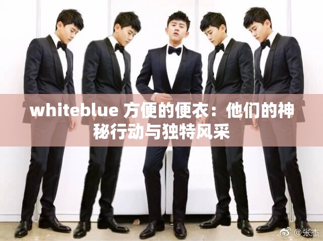 whiteblue 方便的便衣：他们的神秘行动与独特风采