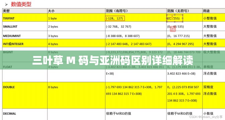 三叶草 M 码与亚洲码区别详细解读