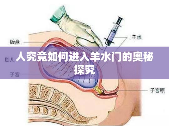 人究竟如何进入羊水门的奥秘探究