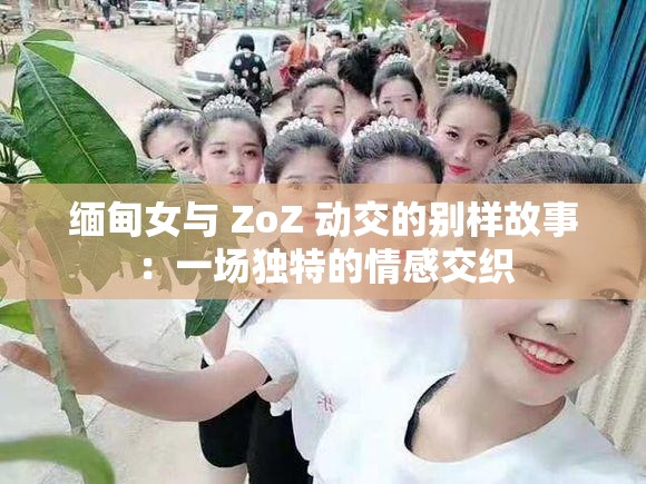 缅甸女与 ZoZ 动交的别样故事：一场独特的情感交织