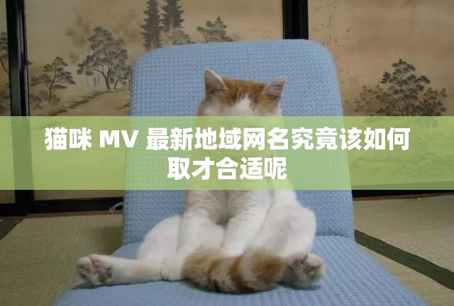 猫咪 MV 最新地域网名究竟该如何取才合适呢