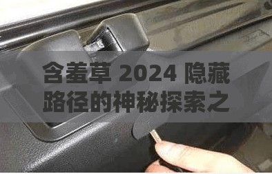 含羞草 2024 隐藏路径的神秘探索之旅