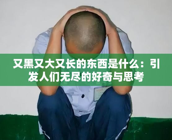 又黑又大又长的东西是什么：引发人们无尽的好奇与思考