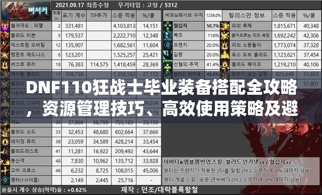 DNF110狂战士毕业装备搭配全攻略，资源管理技巧、高效使用策略及避免浪费方法