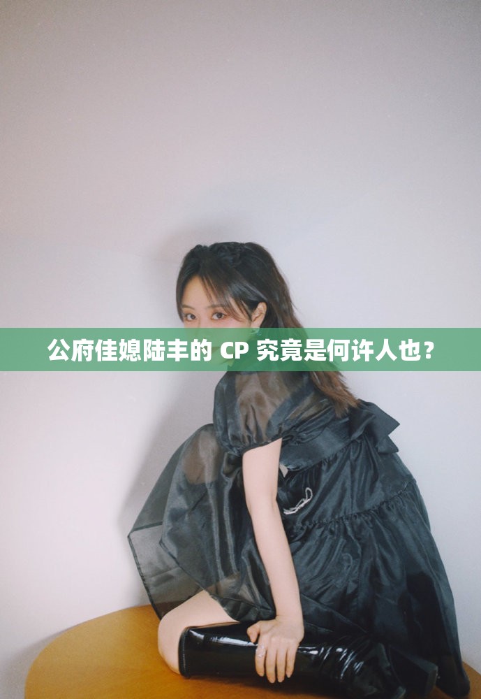 公府佳媳陆丰的 CP 究竟是何许人也？