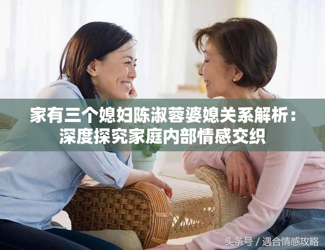 家有三个媳妇陈淑蓉婆媳关系解析：深度探究家庭内部情感交织