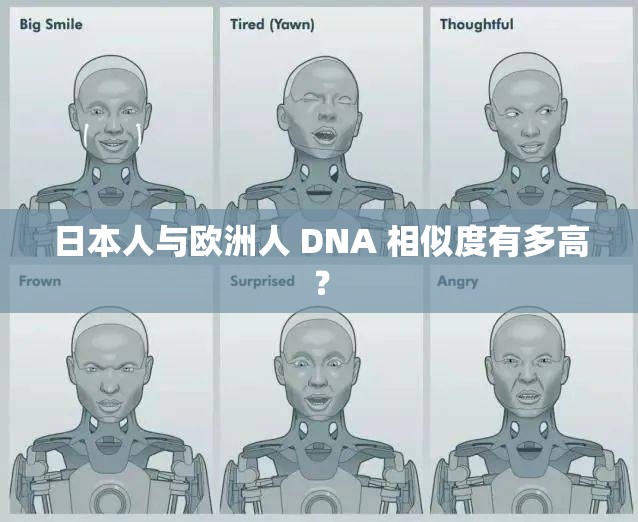 日本人与欧洲人 DNA 相似度有多高？