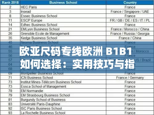 欧亚尺码专线欧洲 B1B1 如何选择：实用技巧与指南解析