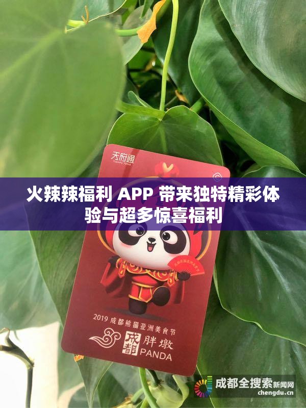 火辣辣福利 APP 带来独特精彩体验与超多惊喜福利