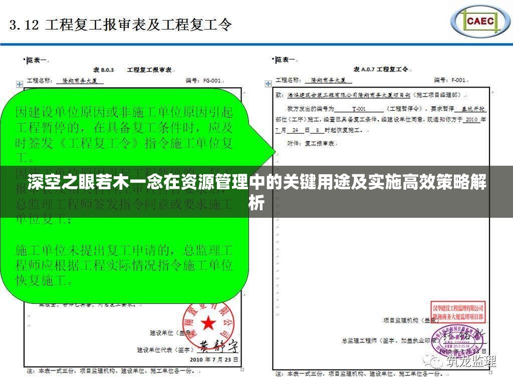 深空之眼若木一念在资源管理中的关键用途及实施高效策略解析