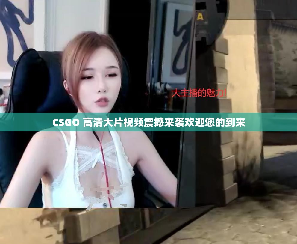 CSGO 高清大片视频震撼来袭欢迎您的到来