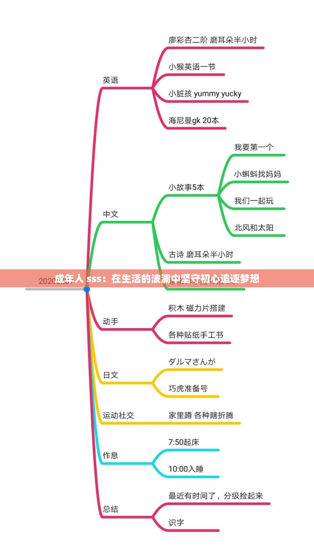 成年人 sss：在生活的波澜中坚守初心追逐梦想