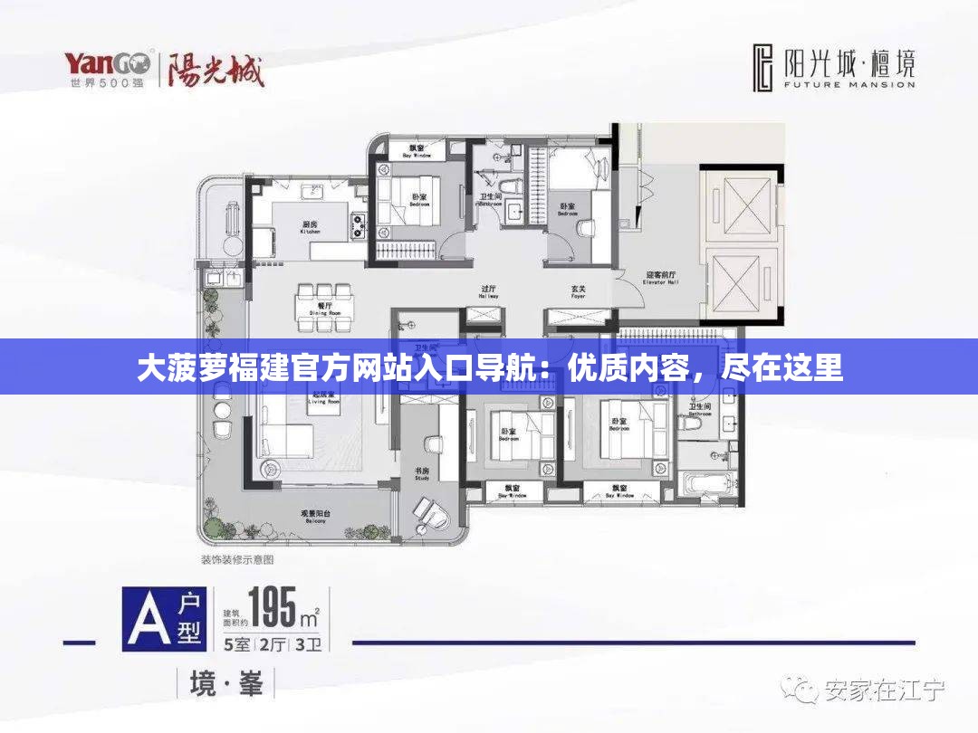 大菠萝福建官方网站入口导航：优质内容，尽在这里