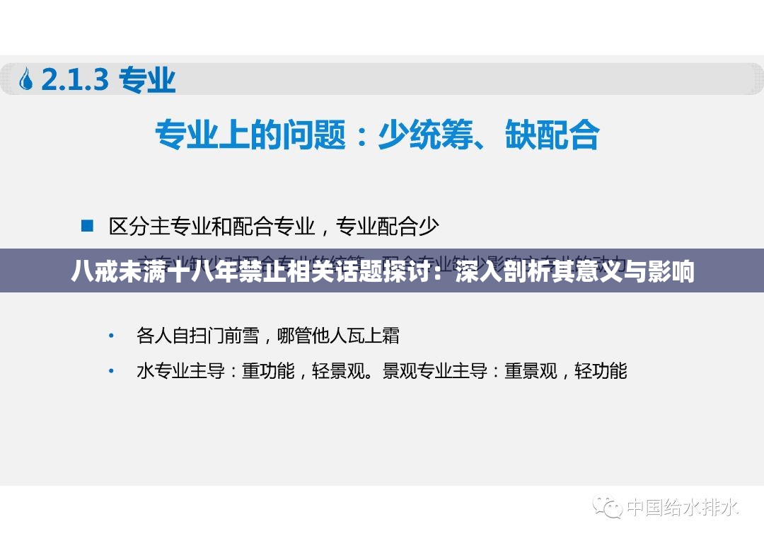 八戒未满十八年禁止相关话题探讨：深入剖析其意义与影响