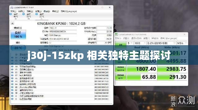 j30j-15zkp 相关独特主题探讨