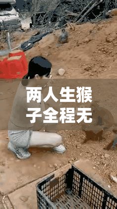 两人生猴子全程无被子之背后的故事与情感探讨