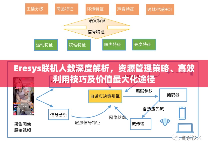 Eresys联机人数深度解析，资源管理策略、高效利用技巧及价值最大化途径