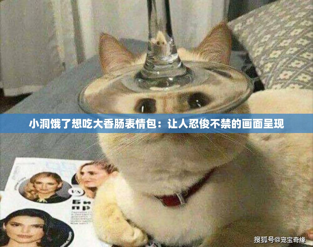 小洞饿了想吃大香肠表情包：让人忍俊不禁的画面呈现