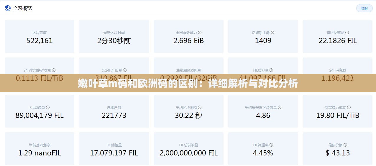 嫩叶草m码和欧洲码的区别：详细解析与对比分析