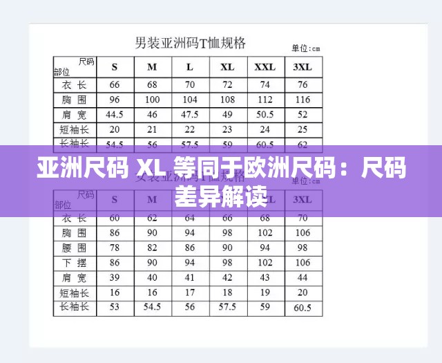 亚洲尺码 XL 等同于欧洲尺码：尺码差异解读