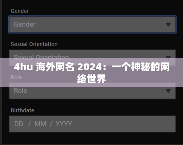 4hu 海外网名 2024：一个神秘的网络世界