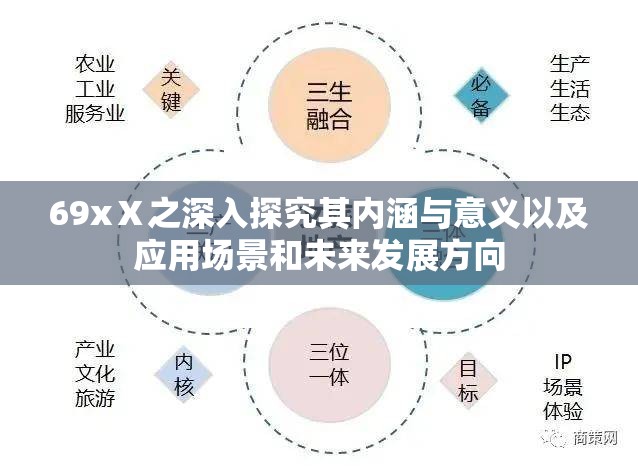 69xⅩ之深入探究其内涵与意义以及应用场景和未来发展方向