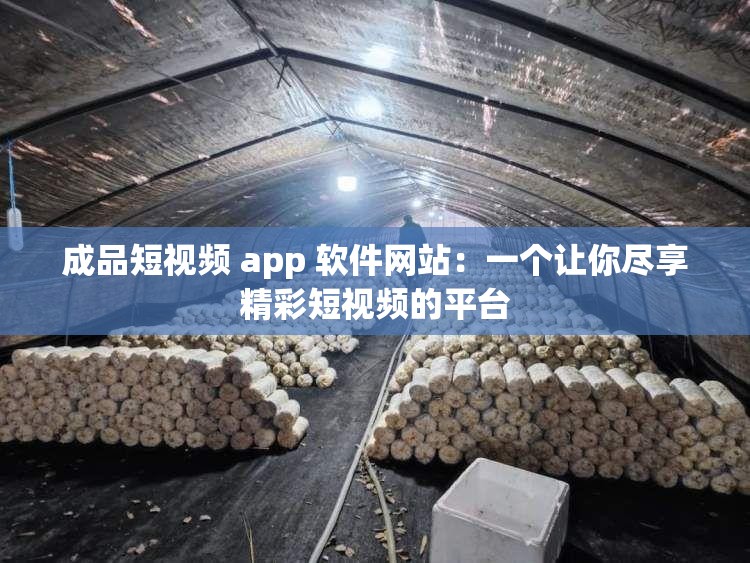 成品短视频 app 软件网站：一个让你尽享精彩短视频的平台