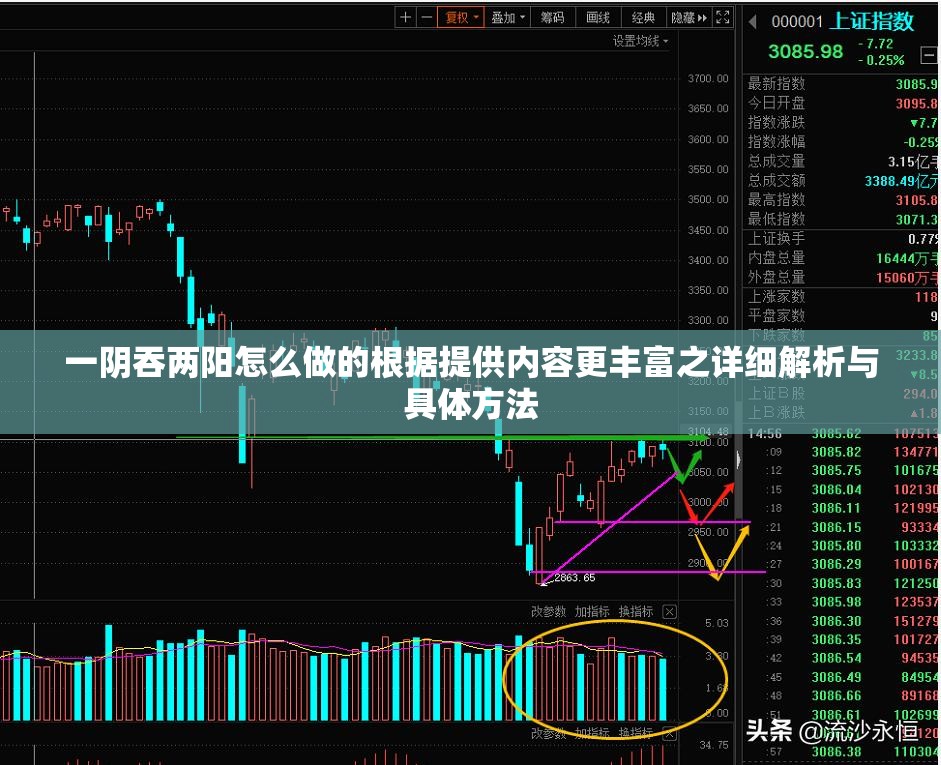 一阴吞两阳怎么做的根据提供内容更丰富之详细解析与具体方法