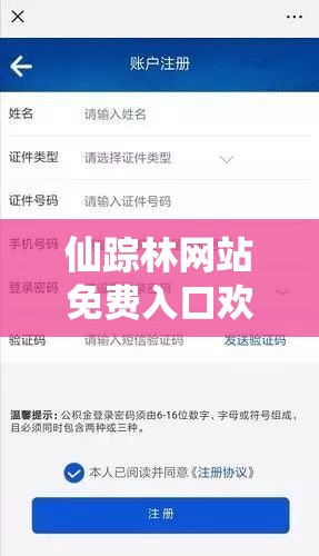 仙踪林网站免费入口欢迎您，畅享精彩内容等你来