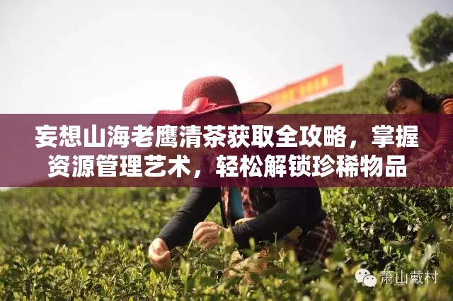 妄想山海老鹰清茶获取全攻略，掌握资源管理艺术，轻松解锁珍稀物品